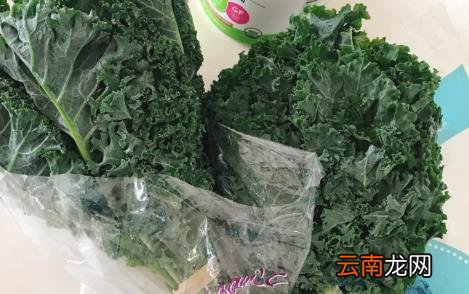 羽衣甘蓝为什么买不到 为什么超市没有卖羽衣甘蓝