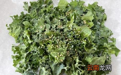 羽衣甘蓝为什么买不到 为什么超市没有卖羽衣甘蓝