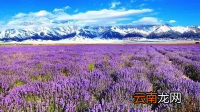 新疆会计人员服务平台