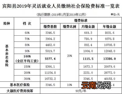 灵活就业人员社保缴费