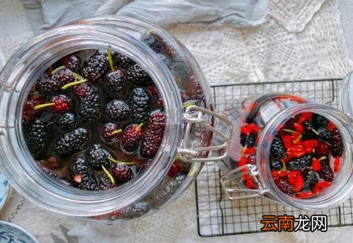 桑葚泡酒可以加什么 桑葚泡酒的正确方法