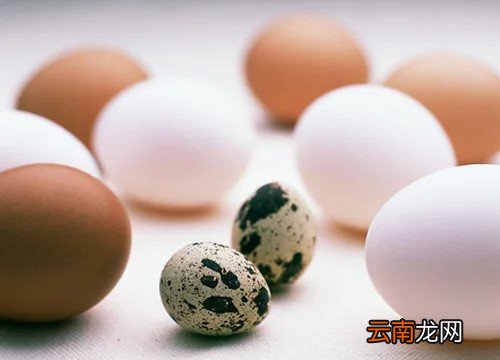 仿写两句作比较的句子 仿写句子