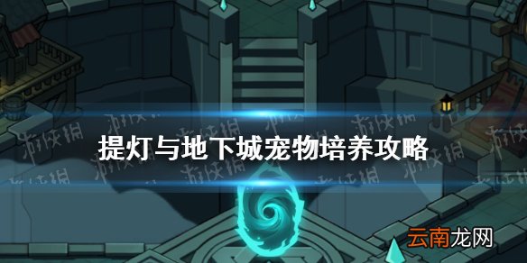 提灯与地下城宠物怎么培养 提灯与地下城宠物培养攻略