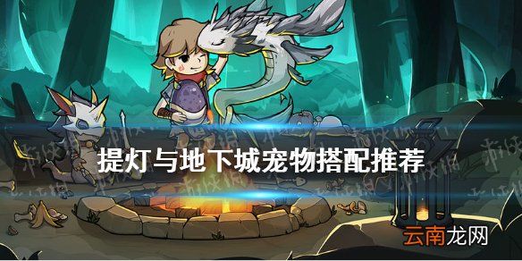 提灯与地下城宠物搭配推荐 提灯与地下城宠物怎么搭配