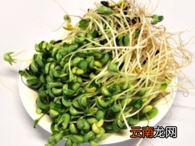 绿豆芽的比喻和拟人句子
