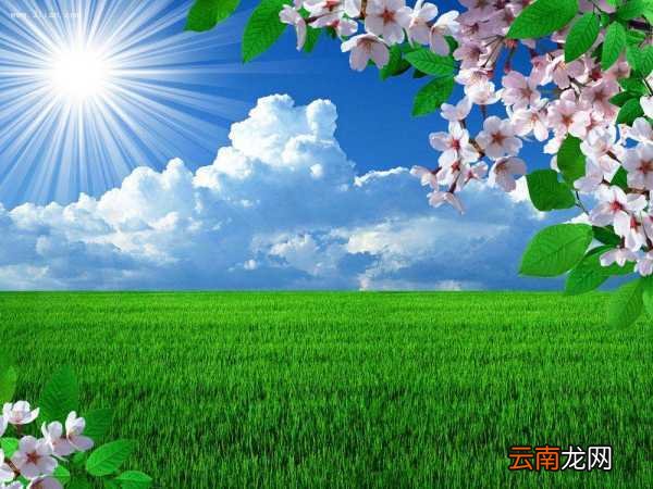 春天来了什么醒了