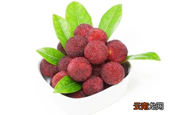 杨梅冻过了还怎么把虫子弄出来 杨梅冷冻后虫子还可以出来吗