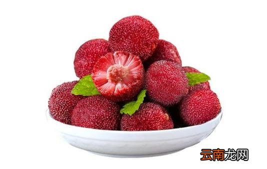 杨梅冻过了还怎么把虫子弄出来 杨梅冷冻后虫子还可以出来吗