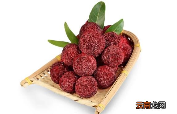 杨梅冷冻保存前需要清洗吗 杨梅先洗再冷冻还是先冷冻吃再洗