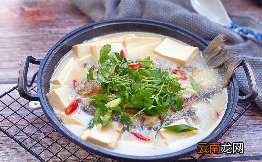 黑鱼汤是鱼肉有营养还是鱼汤有营养 黑鱼汤营养在汤里还是肉里