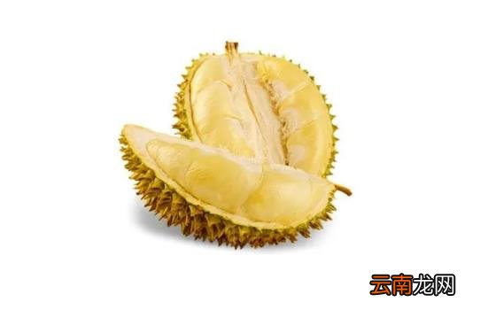 吃一只榴莲相当于吃了一只老鸡吗 吃一块榴莲相当于吃多少老母鸡