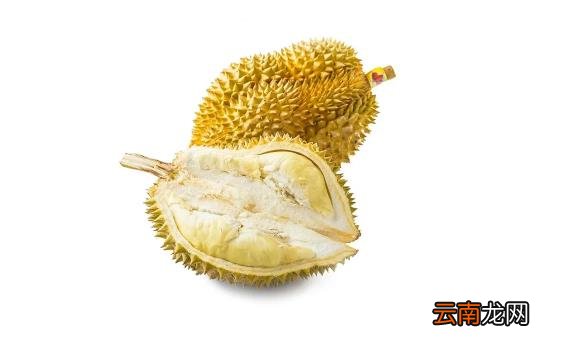 吃一只榴莲相当于吃了一只老鸡吗 吃一块榴莲相当于吃多少老母鸡