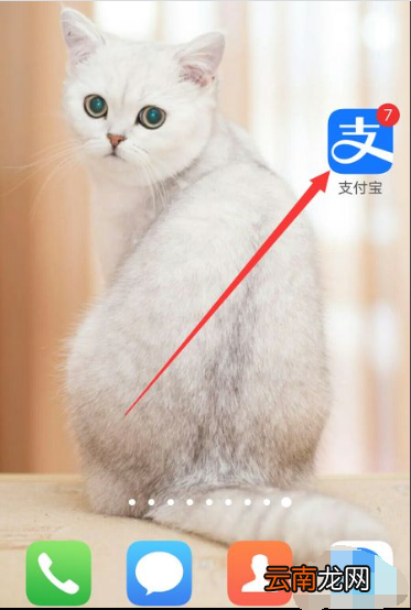 输入车牌号直接查违章怎么做
