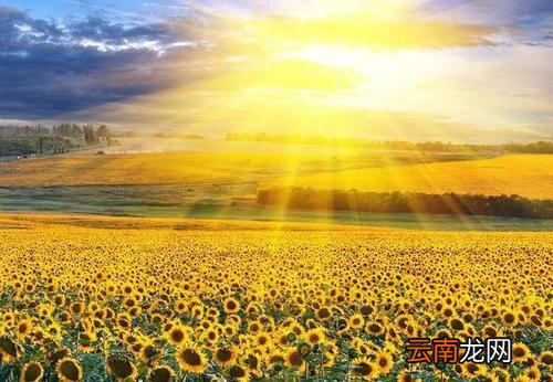 积极向上的正能量句子 鼓励自己的话