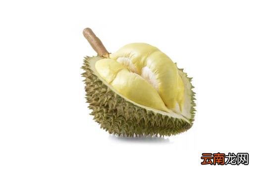 榴莲果肉有点硬放一晚会软吗 榴莲肉硬放一晚上能熟吗