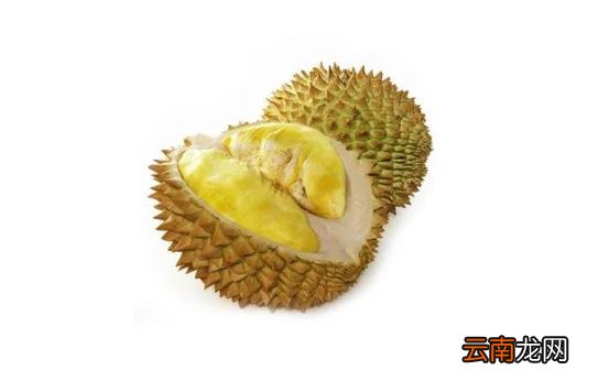 榴莲果肉有点硬放一晚会软吗 榴莲肉硬放一晚上能熟吗