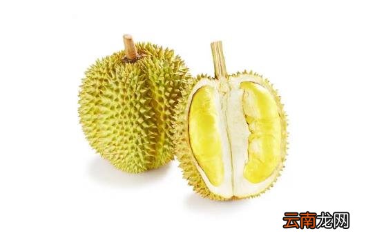 剥开不熟的榴莲还能放熟吗 榴莲扒开了不熟再放一放能不能好