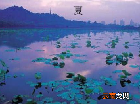 关于夏天的诗句有哪些