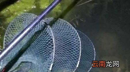 野钓指的是什么 野钓是什么意思