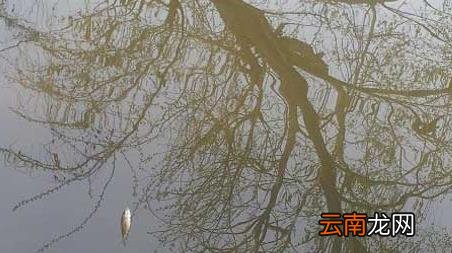 冰刚化开好钓鱼吗 开春冰刚化用什么钓鱼