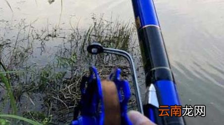 谷麦钓法和传统钓 谷麦钓法是什么意思