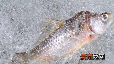冰钓是什么意思，冰上钓鱼是什么意思