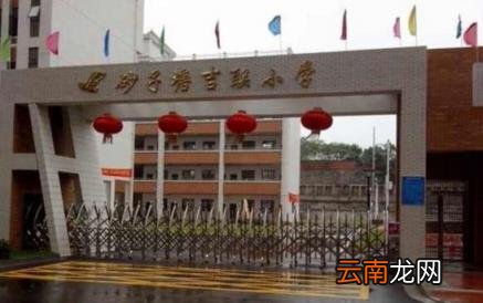 湖南省最好的重点小学有哪些 湖南省重点小学名单及排名