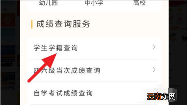 输入身份证号查学籍号