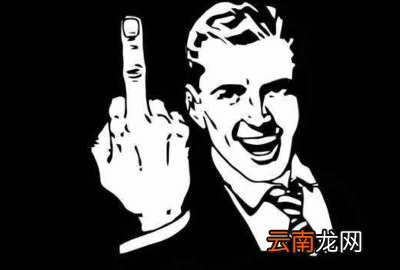 高级的含蓄的骂人的话