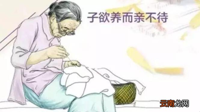 子欲养而亲不待是什么意思 树欲静而风不息子欲养而亲不待是什么意思