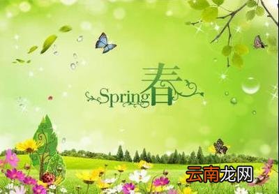 描写春天的作文