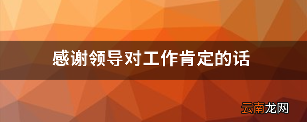 感谢领导对工作肯定的话