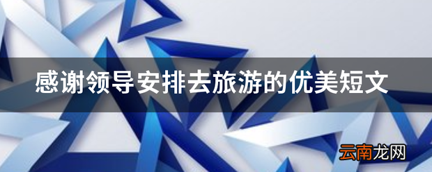 感谢领导安排去旅游的优美短文
