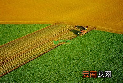 土地