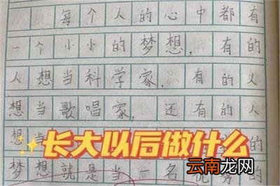 长大以后想做什么二年级作文