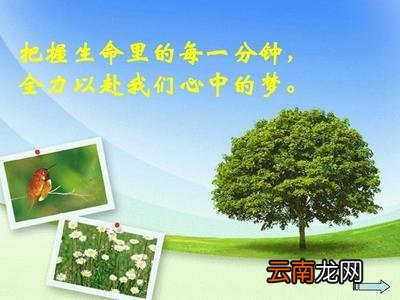 高三励志视频