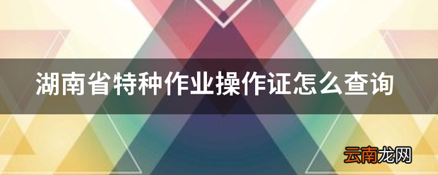 湖南省特种作业操作证怎么查询