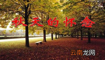 秋天的怀念教案