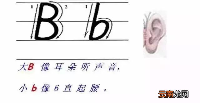 规格英文