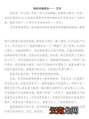我的动物朋友作文400字四年级下册