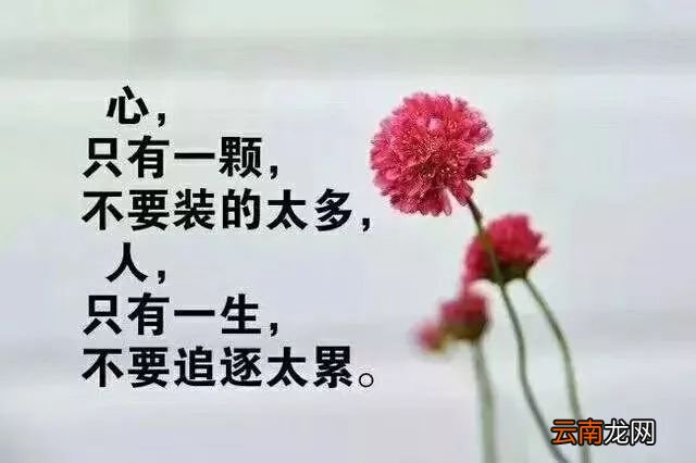 伤感的语句