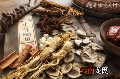 调理月经的中药
