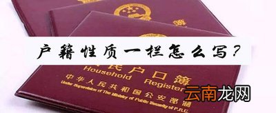 户口性质怎么填写
