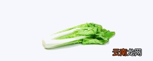 春菜是什么菜 春菜又叫什么菜