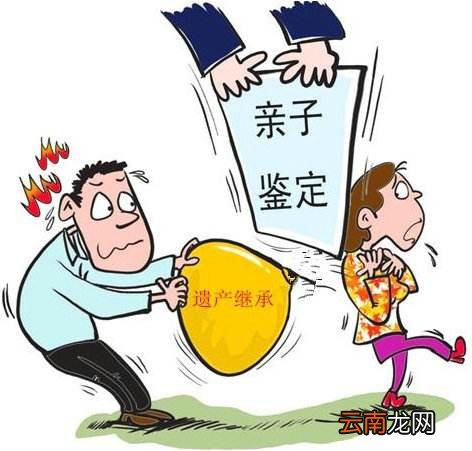 亲子鉴定费用