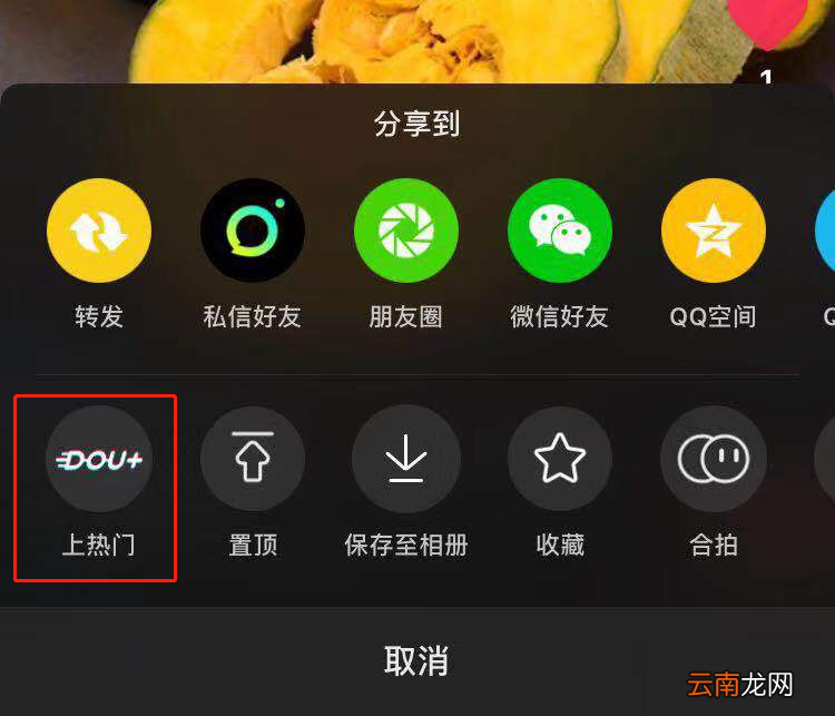 抖加是正规平台吗