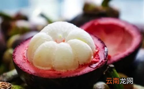 山竹禁忌什么一起吃