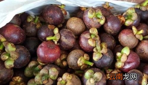 吃山竹不能同时吃什么