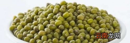 绿豆泡多久才可以煮