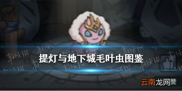 提灯与地下城毛叶虫怎么样 提灯与地下城毛叶虫契约兽图鉴